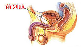 &#122;&#111;&#116;&#121;&#20013;&#27431;