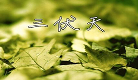&#122;&#111;&#116;&#121;&#20013;&#27431;